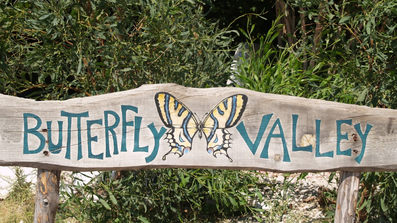 Dolina Motyli Turcja - Butterfly Valley