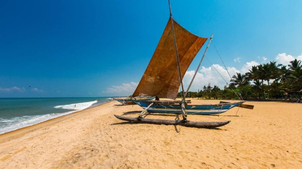Negombo – co warto zobaczyć w nadmorskim kurorcie Sri Lanki?