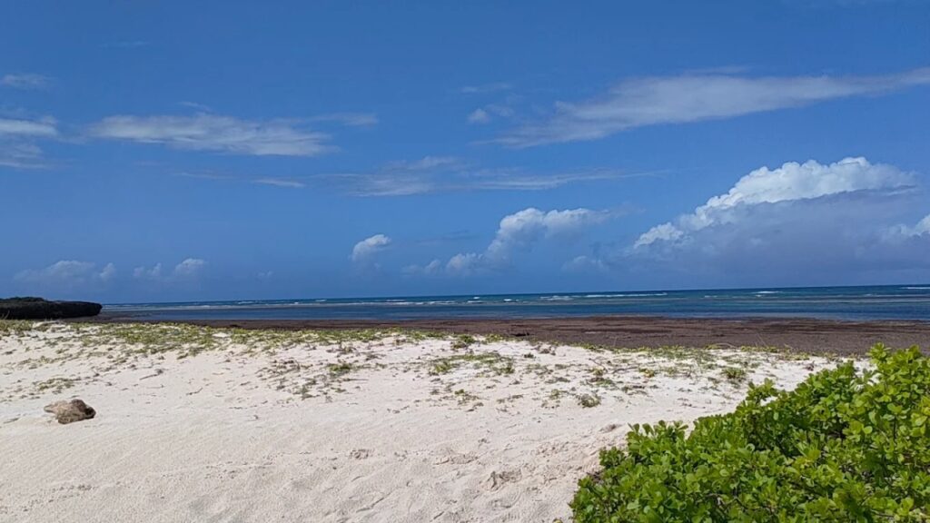 Plaża Kilifi Beach w Kenii