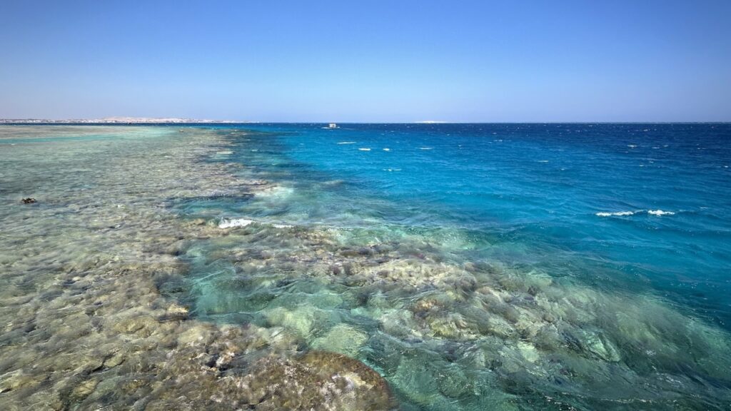 Plaża Makadi Bay Beach w Hurghadzie – co warto wiedzieć? Najważniejsze informacje
