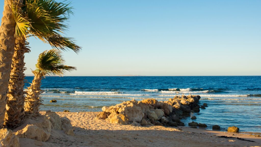 Plaża Sahl Hasheesh Beach w Hurghadzie – co warto wiedzieć? Najważniejsze informacje