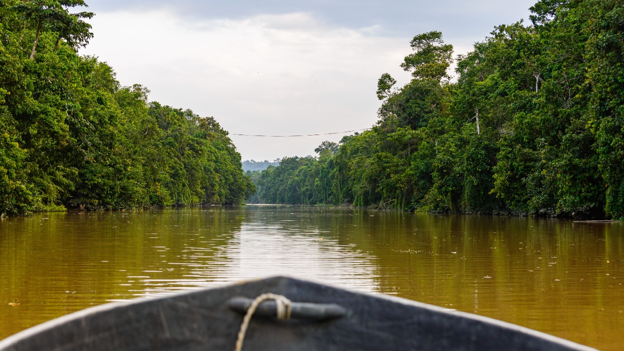Rejsy po rzece Kinabatangan