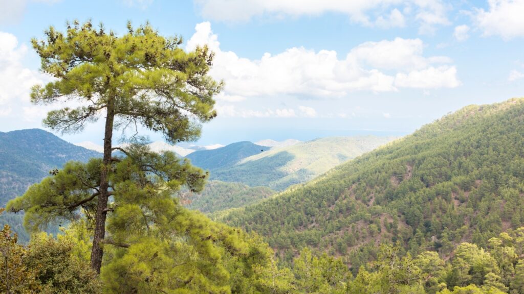 Góry Troodos na Cyprze – jak dojechać, pogoda, co zobaczyć i klasztory