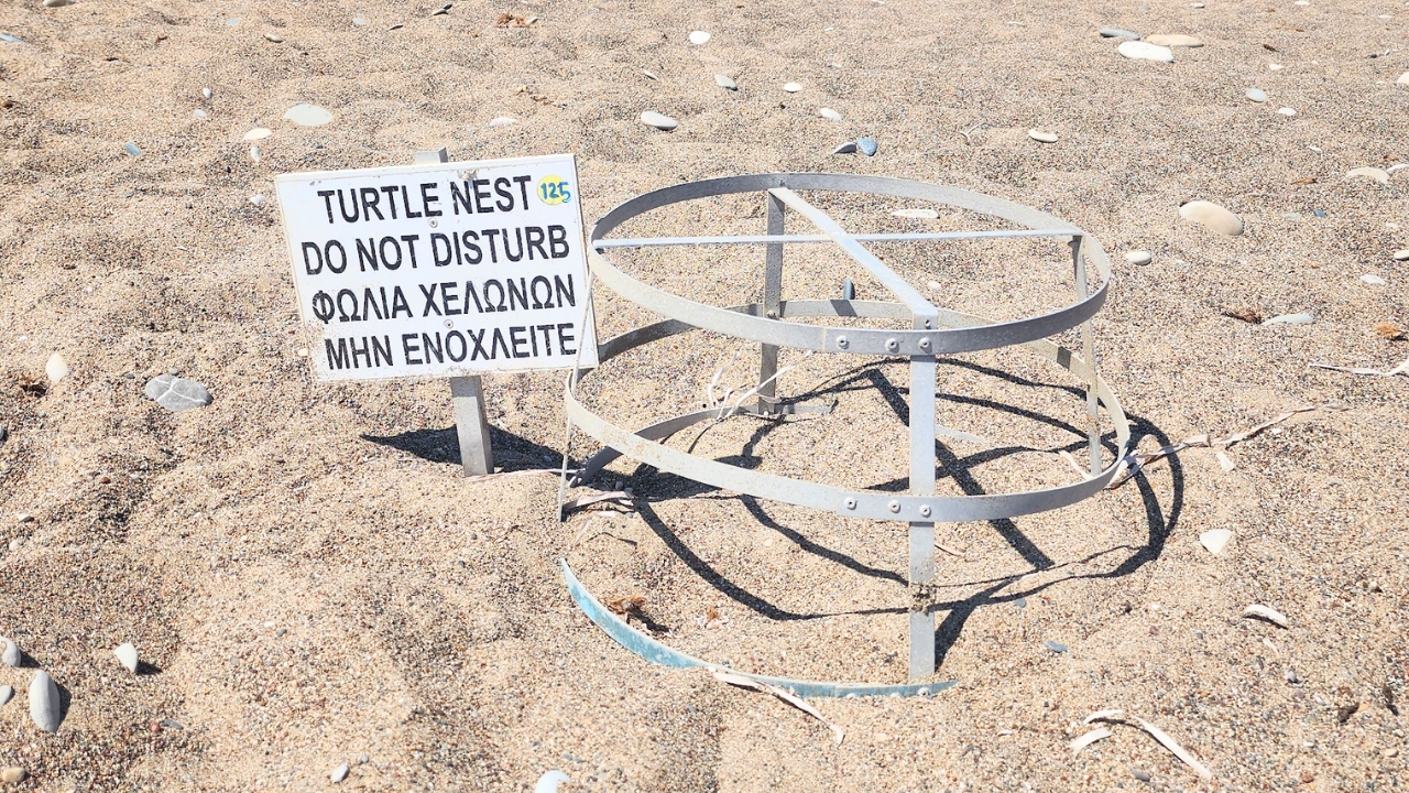Plaża Paramali Turtle Beach