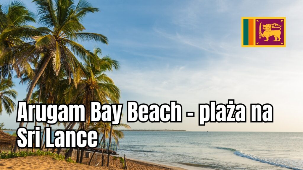 Arugam Bay Beach – plaża na Sri Lance