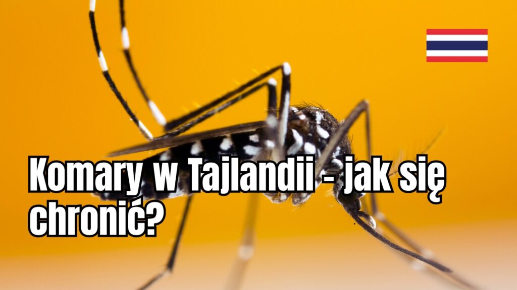 Komary w Tajlandii – jak się chronić?
