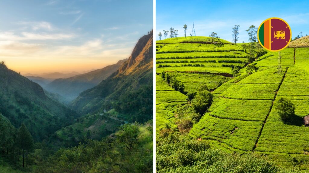 Nuwara Eliya i Ella na Sri Lance