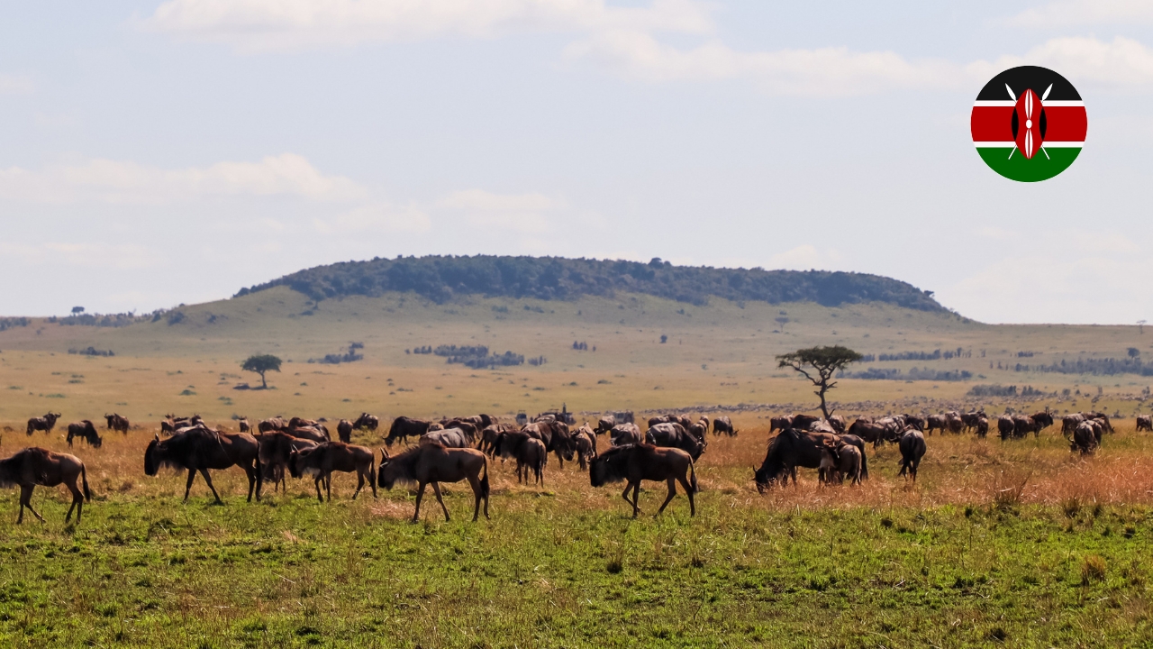 Park Narodowy Masai Mara