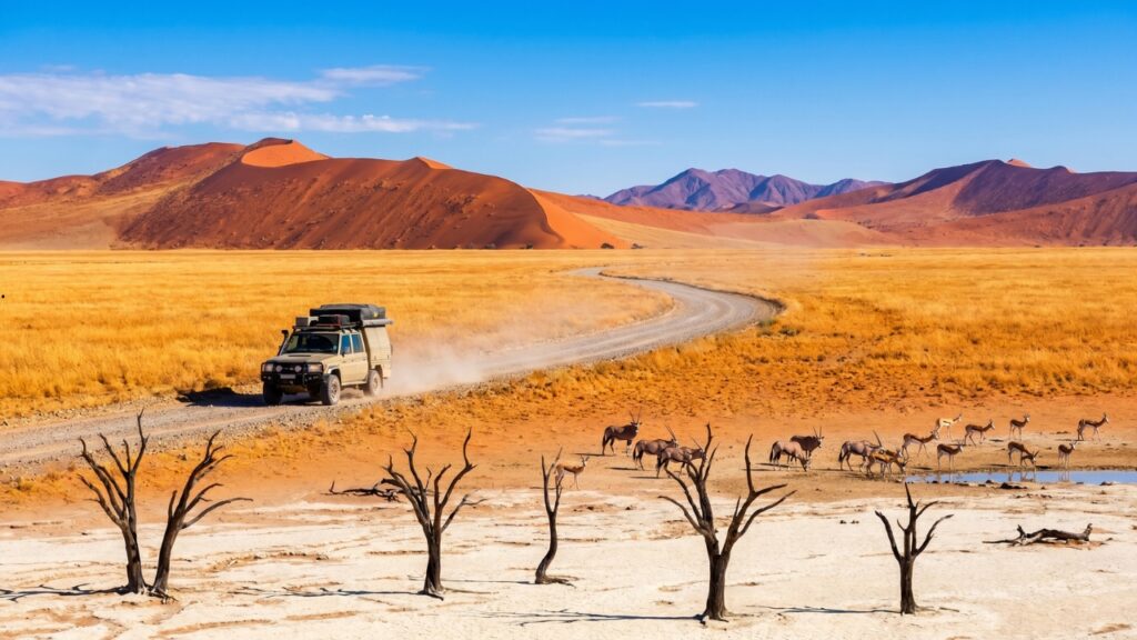Ile trwa lot do Namibii