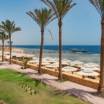 Jaz Grand Marsa w Marsa Alam – wakacje dla 2 osób z plażą przy hotelu, pomostem, ogrodem i All Inclusive
