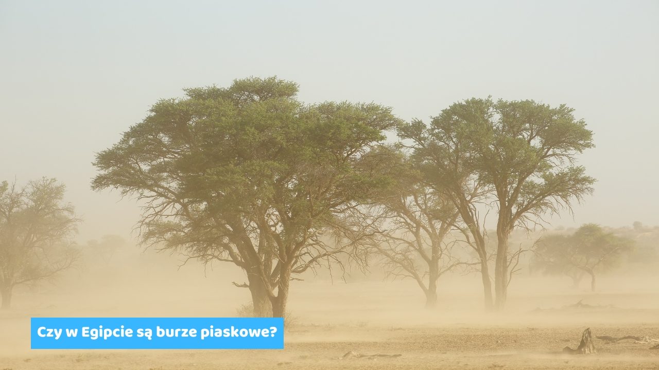 Czy w Egipcie są burze piaskowe