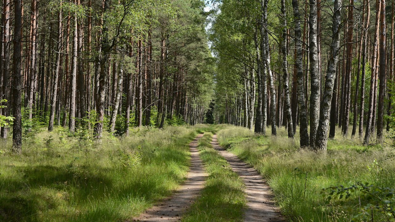 Wypoczynek na Kaszubach – odkryj piękno i spokój polskich jezior - Photo by Jacek Urbanski Unsplash