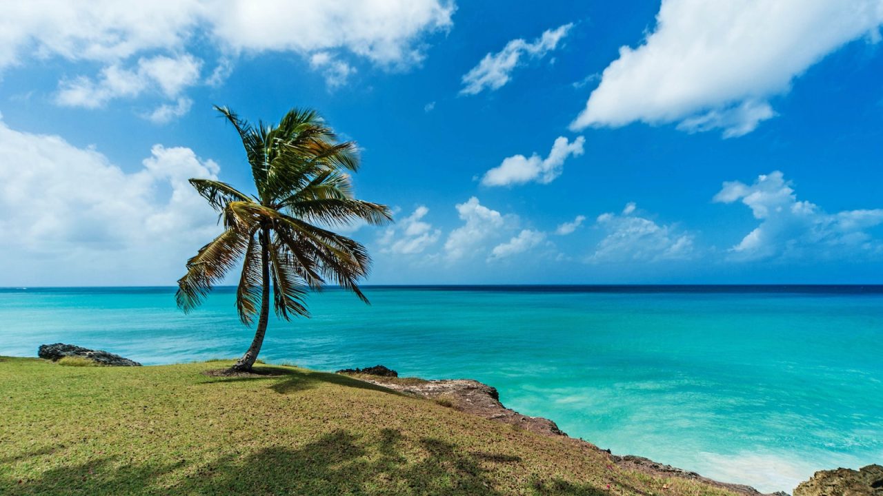 Barbados pogoda, Barbados wakacje, Barbados atrakcje, Barbados kiedy lecieć, Barbados All Inclusive, Najlepsze hotele Barbados